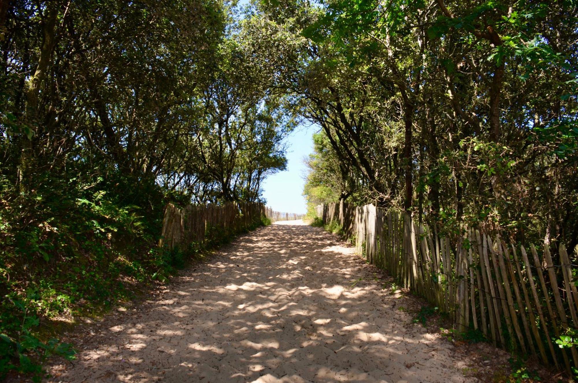 Camping Le Clos Des Pins Лонжевиль-сюр-Мер Экстерьер фото